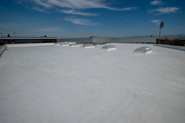 Best Sheet Metal Roofing  in East Palatka, FL